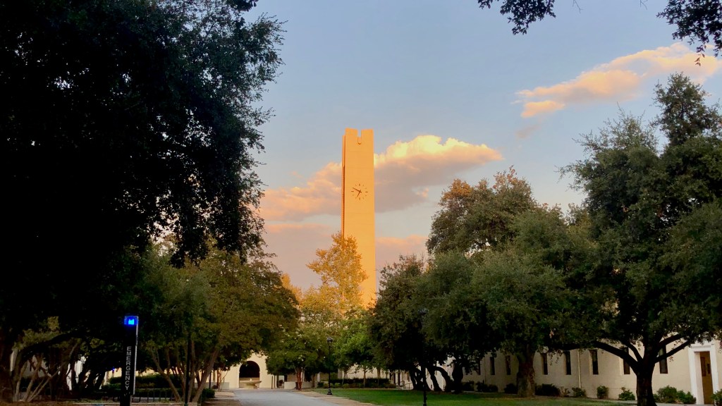 Sunset reflecting light on the Smith Clock Tower rising above a row of trees on the Pomona College campus.